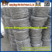 Professional Manufacture Steel Barbed Wire From Anping